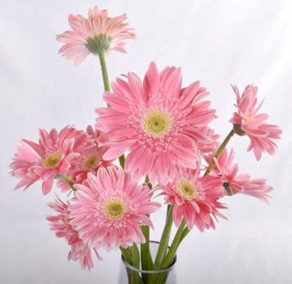 ร้านขายส่งดอกไม้นำเข้าจากจีน - พวงหรีดส่งด่วน - ​ลีน่า ฟลาวเวอร์(Leena Flowers Shop)